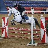 ЧЕШСКАЯ КОБЫЛА | ЛИНИЯ KANNAN