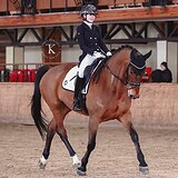 ИМПОРТИРОВАН ИЗ ДАНИИ