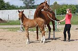 невероятно очаровательная