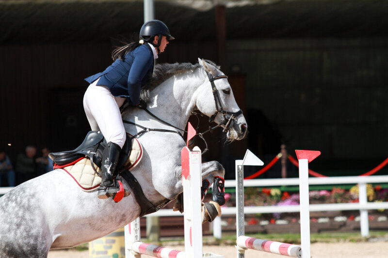 КАЛИФОРНИЯ ДРИМ-15 и Григорьева Евгения