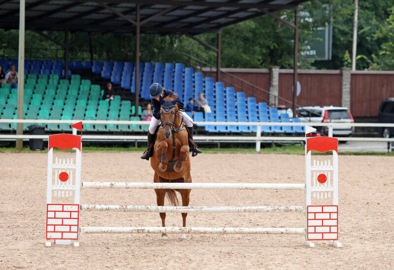БАРБАРА-20 и Громзина Анна