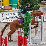 БУДЕННОВСКИЙ ЖЕРЕБЕЦ 6 ЛЕТ 