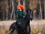 Мерин 2019