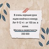 Ищем конечка в конкур