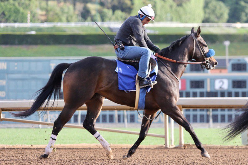 Ипподром Santa Anita Park