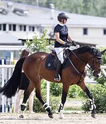 МЕРИН В ВЫЕЗДКУ ИМПОРТНЫЕ Р