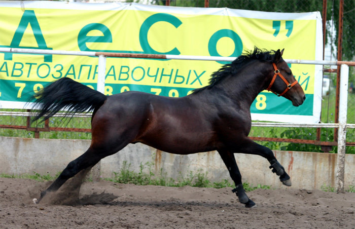 Тося гуляет