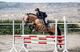 Очень хорошая цена!
