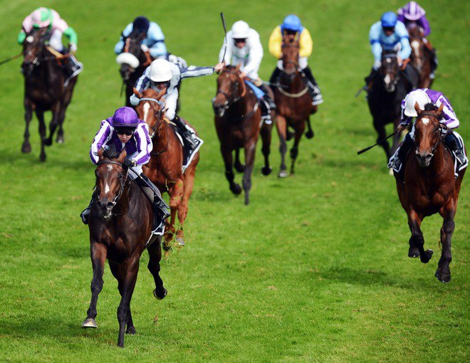 Ипподром Curragh 2012 год, скачка Irish Derby-G1