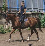 УЧИТЕЛЬ В ВЫЕЗДКУ