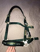 Новый недоуздок Eskadron