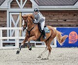 МАРШРУТЫ 130 • ПОД РЕБЕНКА