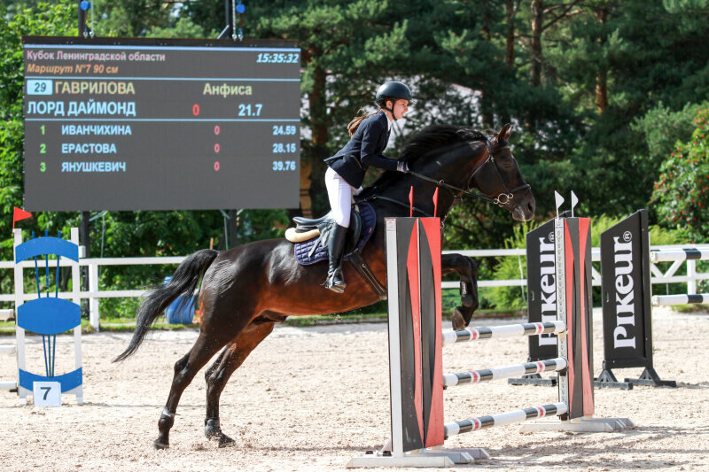 ЛОРД ДАЙМОНД-09 и Гаврилова Анфиса