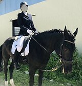 ВЫСОКИЙ МЕРИН В ВЫЕЗДКУ
