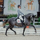 АНДАЛУЗСКАЯ КОБЫЛА 