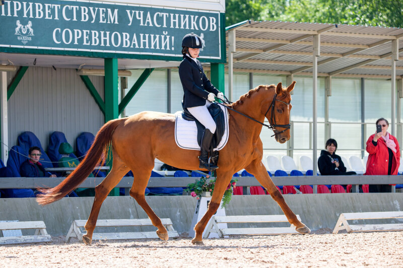 ЭЛЬХАРА-13 и Дмитриева Вероника
