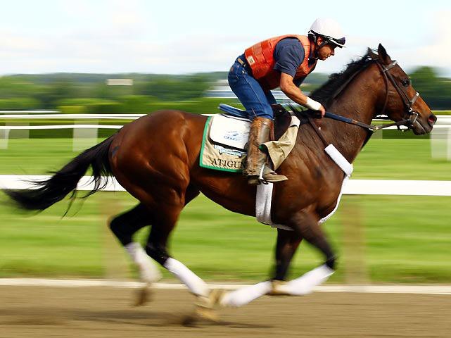 Ипподром Belmont Park 2012 год, подготовка к последнему этапу Тройной Короны - Belmont Stakes.