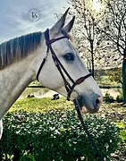 СТАРТОВЫЙ ОПЫТ ДО 130 СМ