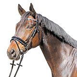 Уздечка Euroriding Grasse