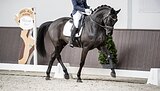 Figaro
