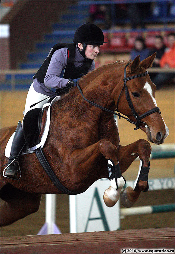 костюмированный манежка лошади. веселый конь. монруж франция конюшни. конный завод донской фрагрант. конный поход москва-париж.