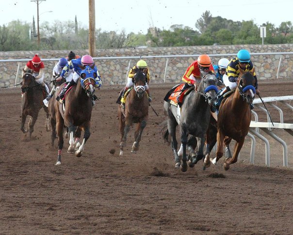 Ипподром Sunland Park 2014 год, скачка Sunland Derby - Gr. 3