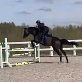 СТАРТОВЫЙ ОПЫТ ДО 110 СМ
