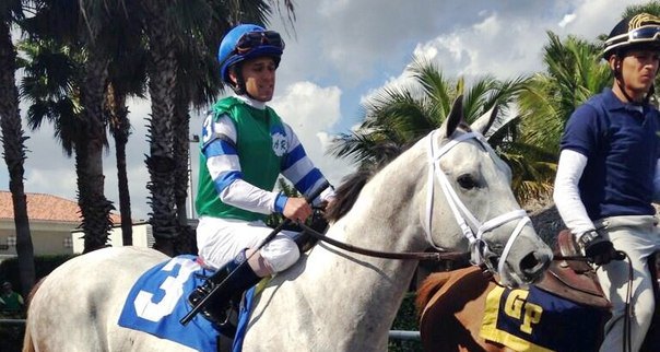 Ипподром Gulfstream Park 2014 год, скачка MSW