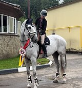 Мерин 