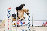 Мерин с элементами ППЮ, кон
