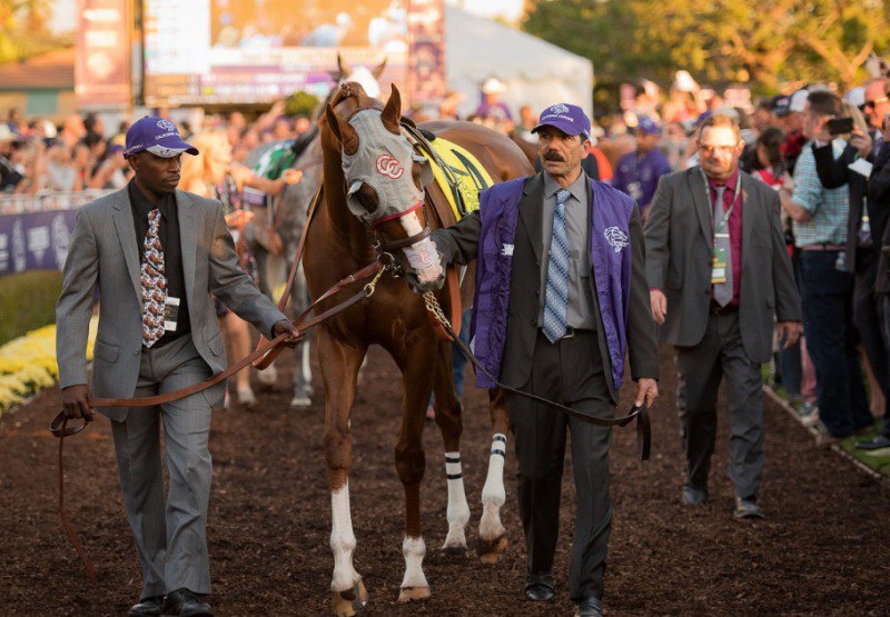 Ипподром Santa Anita Park 2016 год, скачка Breeder's Cup Classic G1