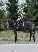 Пони 149 вх, 2018 гр