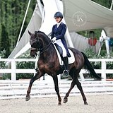 ВЫПОЛНЯЕТ ВСЕ ЭЛЕМЕНТЫ БП