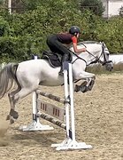 Самовоз до 130см