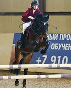 УНИВЕРСАЛЬНЫЙ МЕРИН