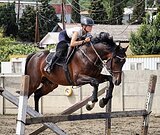 ЖЕРЕБЕЦ В КОНКУР