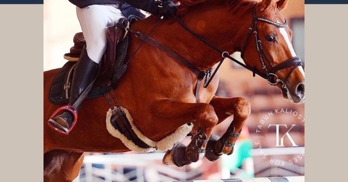 культурно-познавательный туризм. питер общение м м. питер общение м м. туристы на экскурсии. питер общение м м.