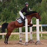 СТАРТОВЫЙ ОПЫТ ДО 100 СМ