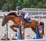 БУДЕННОВСКАЯ КОБЫЛА 8 ЛЕТ