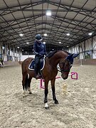 Временно снижена цена!