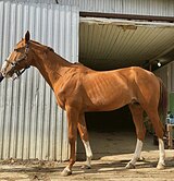 В РАЗВЕДЕНИЕ 