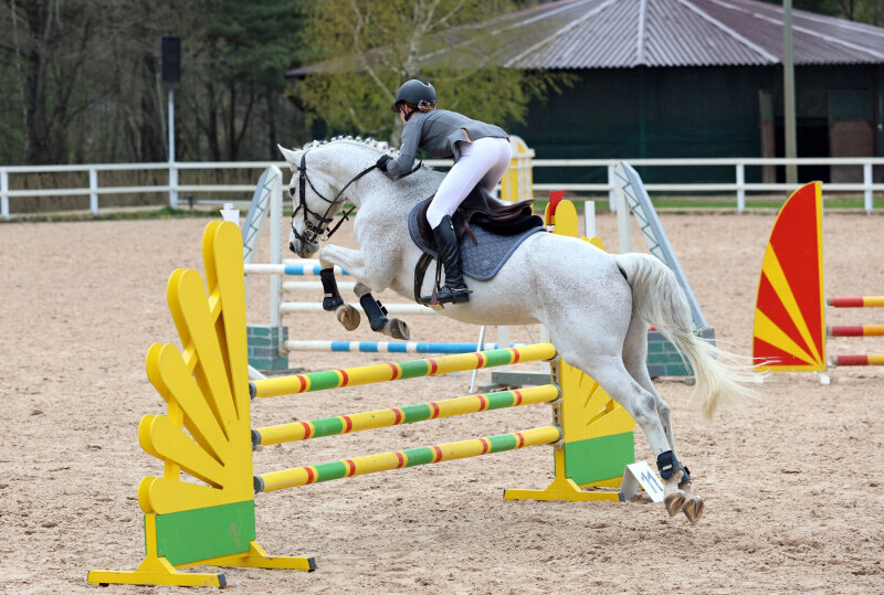 КВИК КЛЕР-11 и Анкудинова Александра