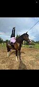 Кросс-шайр 0933