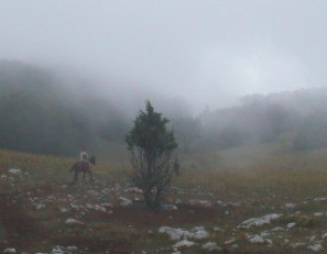 На горе Ай-Петри