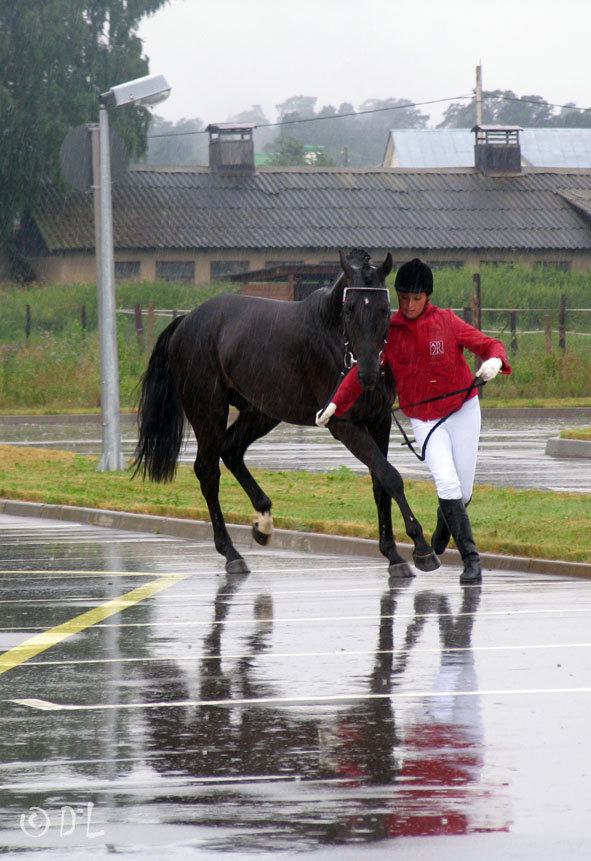 Кёрунг2006. Новый век. Жер. Rhein.