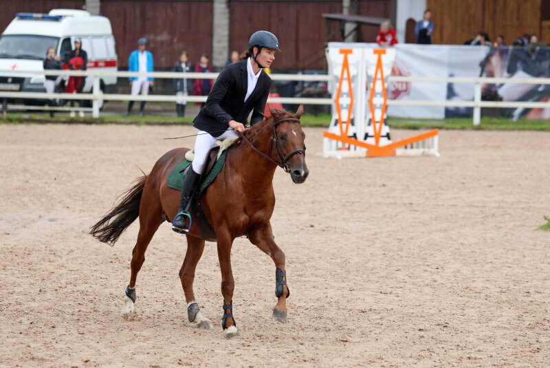 ЛАНДГРАФ-13 и Артемьев Дмитрий