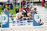 Пони в проф. спорт выездка/к