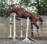 ВЫСОКАЯ, ШПРИНТ 130