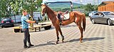 Крокус