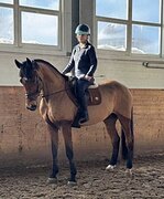 ВЫСОКИЙ В КОНКУР